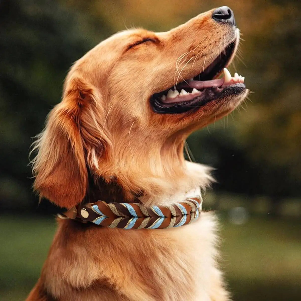 Modisches Nylonseil-Hundehalsband mit Echtleder-Details (Geflochten & Bunt) - Animalivo