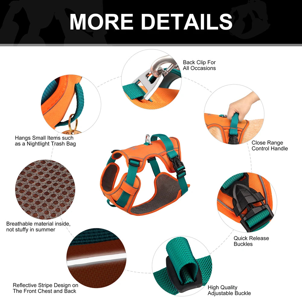 Atmungsaktives Mesh-Hundegeschirr (Reflektierend & Verstellbar) - Animalivo