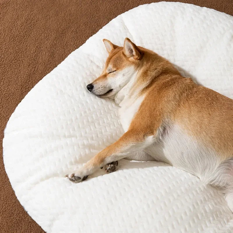 Ovale Hunde-Matratze: Verdicktes, abnehmbares & waschbares Kissen für den Winter - Animalivo