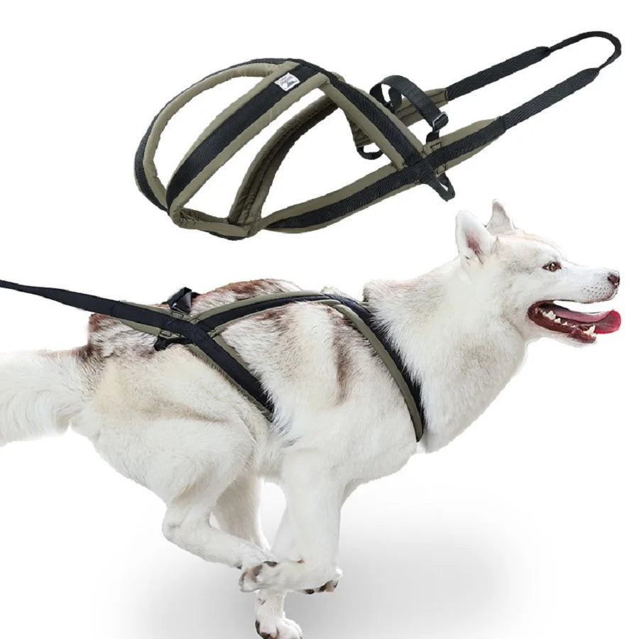 Schlitten-Hundegeschirr, Outdoor-Hundeleine für große und mittelgroße Hunde - Animalivo