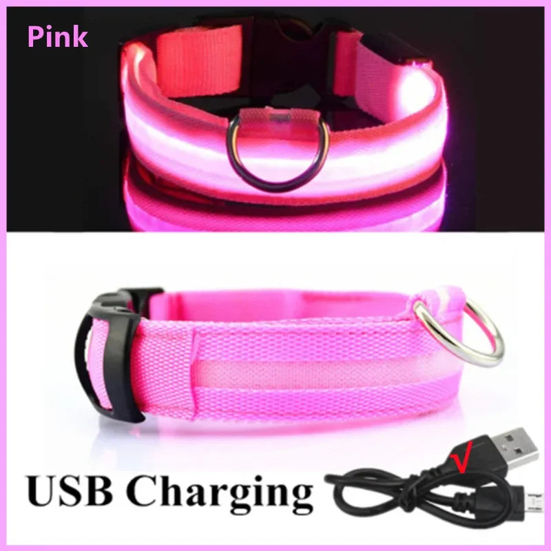 LED Hunde-Halsband: USB-aufladbar, 3 Modi & Abnehmbar zur Verlustprävention - Animalivo