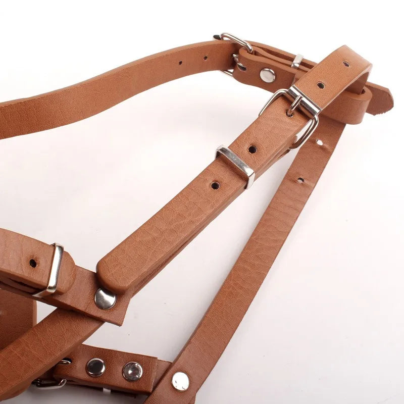 Stabiler Metall-Leder-Maulkorb (Anti-Beißen & Atmungsaktiv) - Animalivo