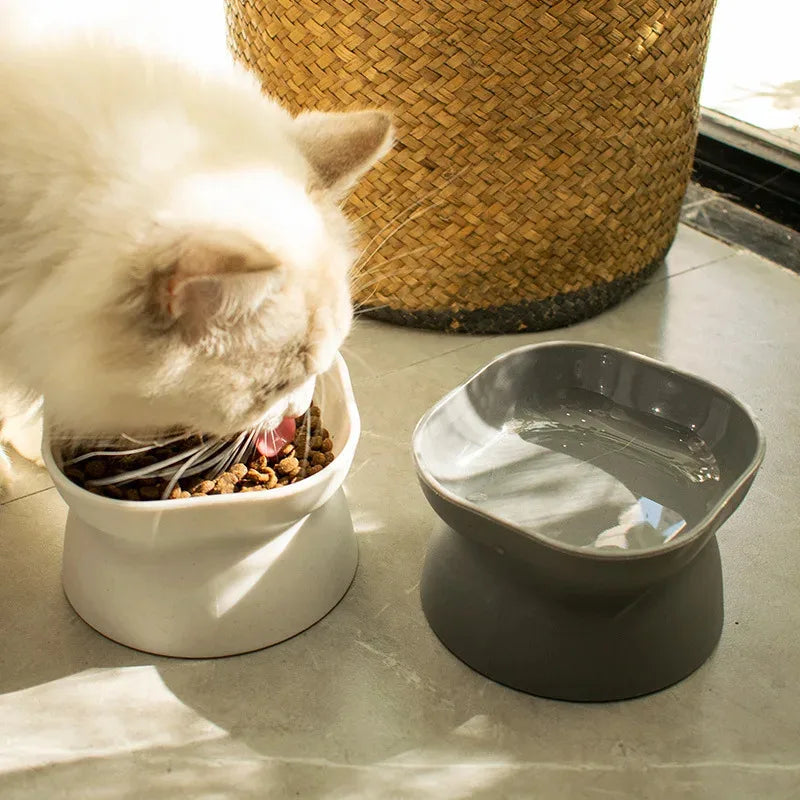 Erhöhte Keramikschalen für Katzen & Welpen - Animalivo