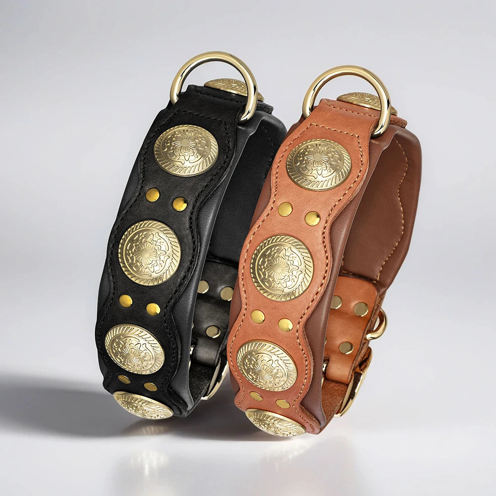 Hundehalsband aus Echtem Leder mit Spikes (Verstellbar) - Animalivo