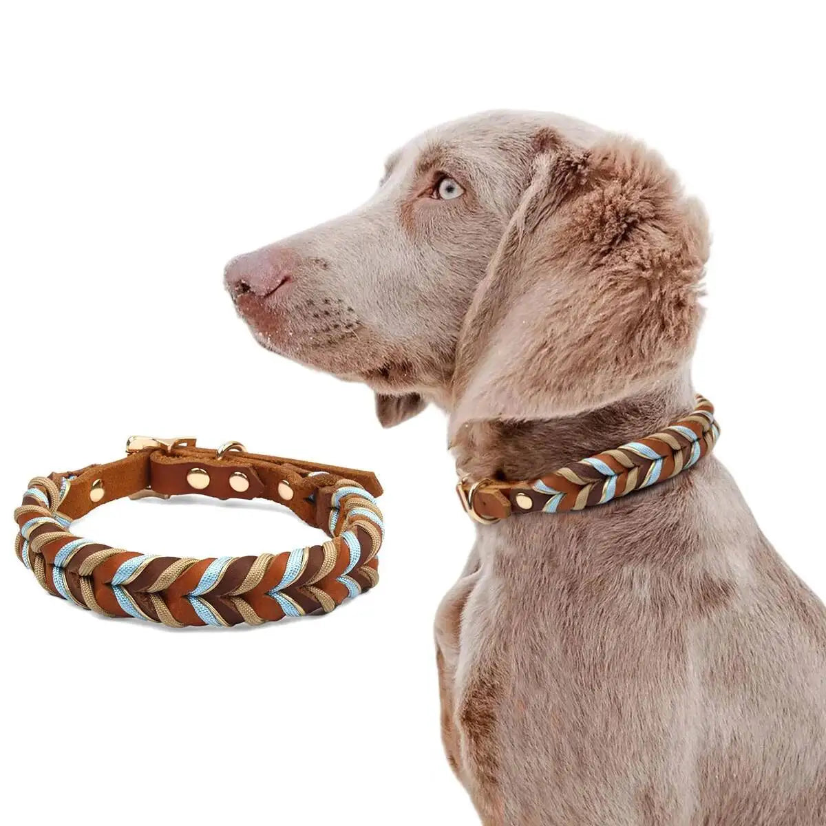 Modisches Nylonseil-Hundehalsband mit Echtleder-Details (Geflochten & Bunt) - Animalivo