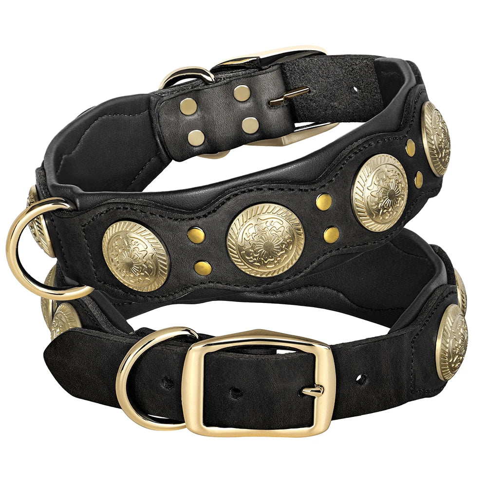 Hundehalsband aus Echtem Leder mit Spikes (Verstellbar) - Animalivo