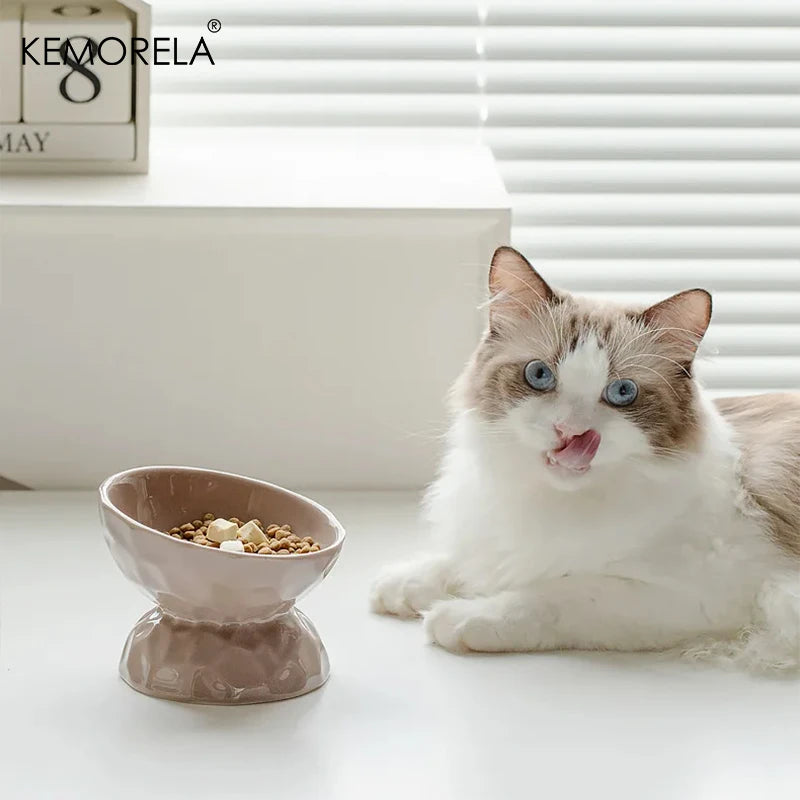Erhöhter Keramik-Napf für Katzen & Welpen (Geneigt) - Animalivo
