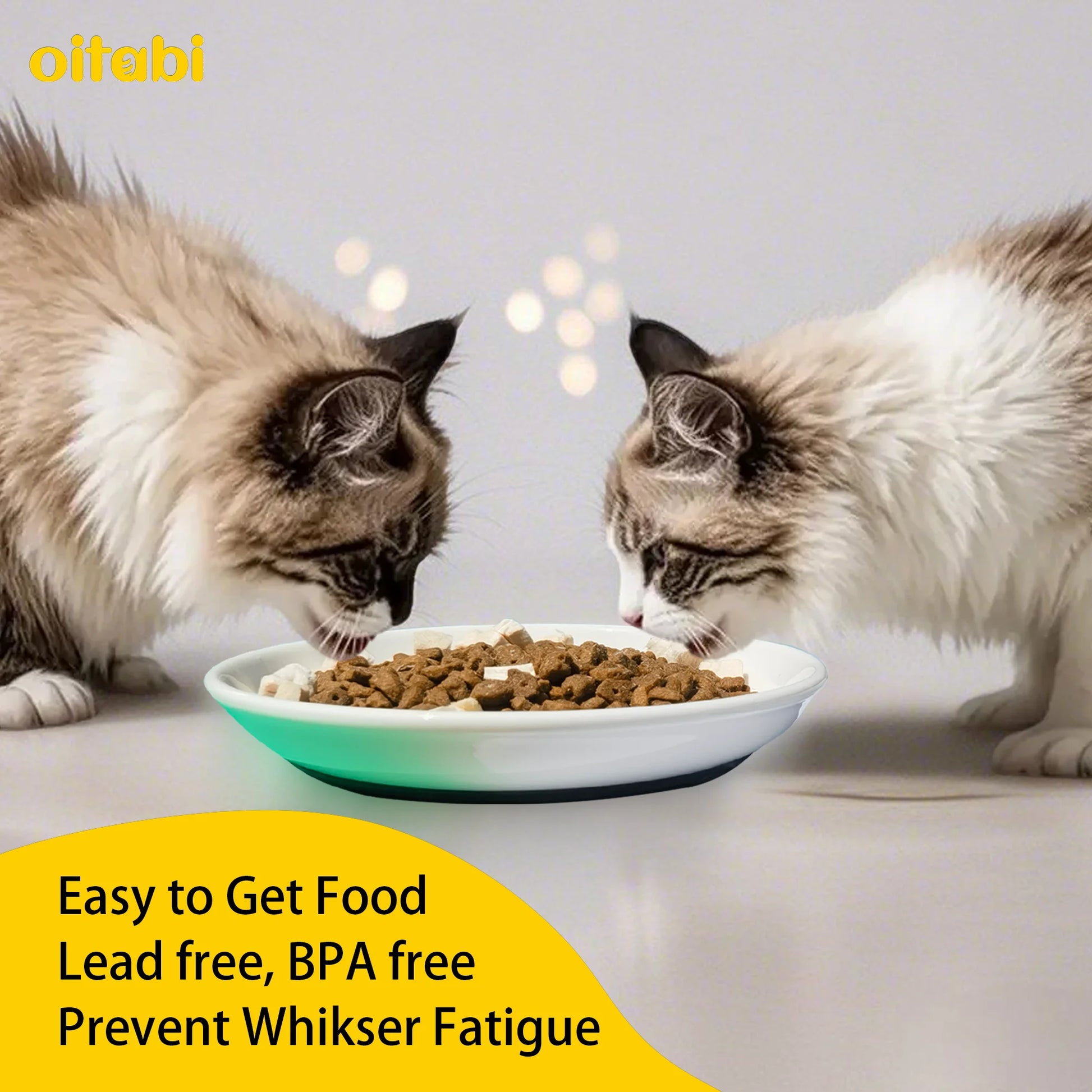 3er Set Keramik-Katzennäpfe (flach & breit) - Animalivo