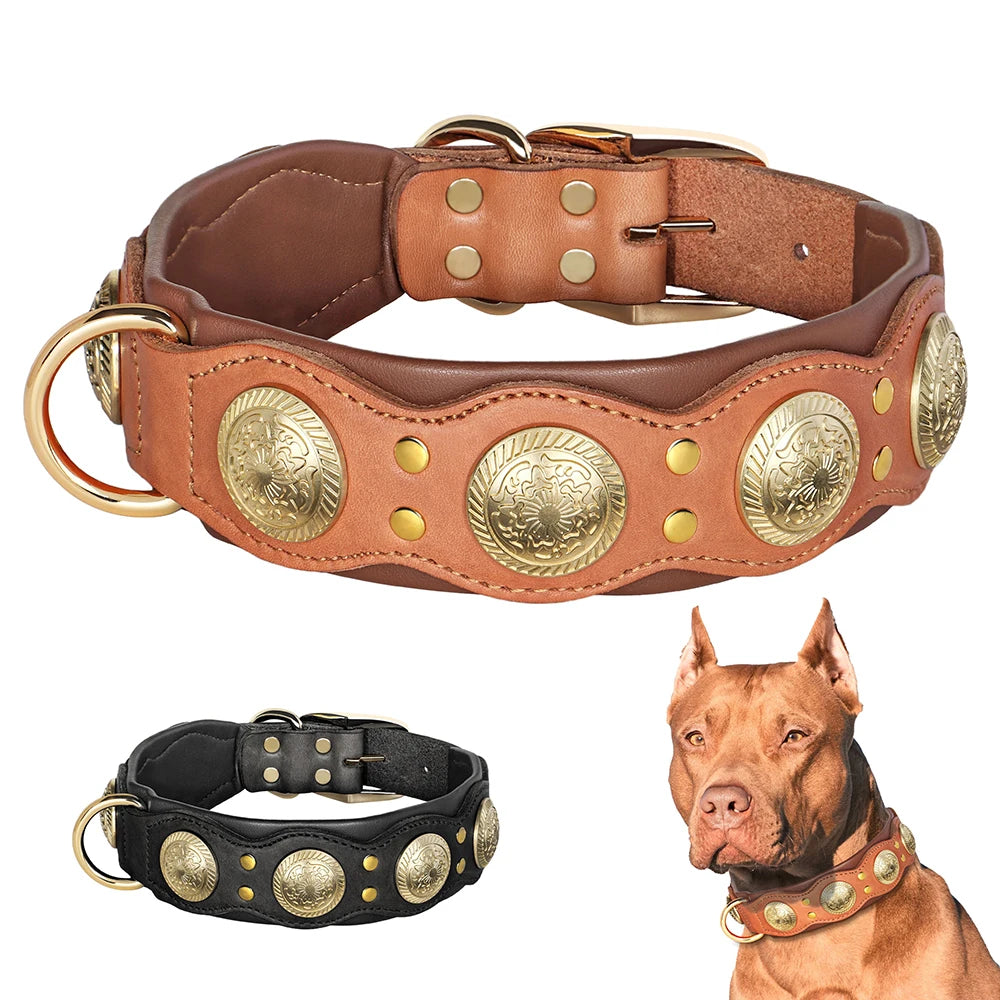Hundehalsband aus Echtem Leder mit Spikes (Verstellbar) - Animalivo