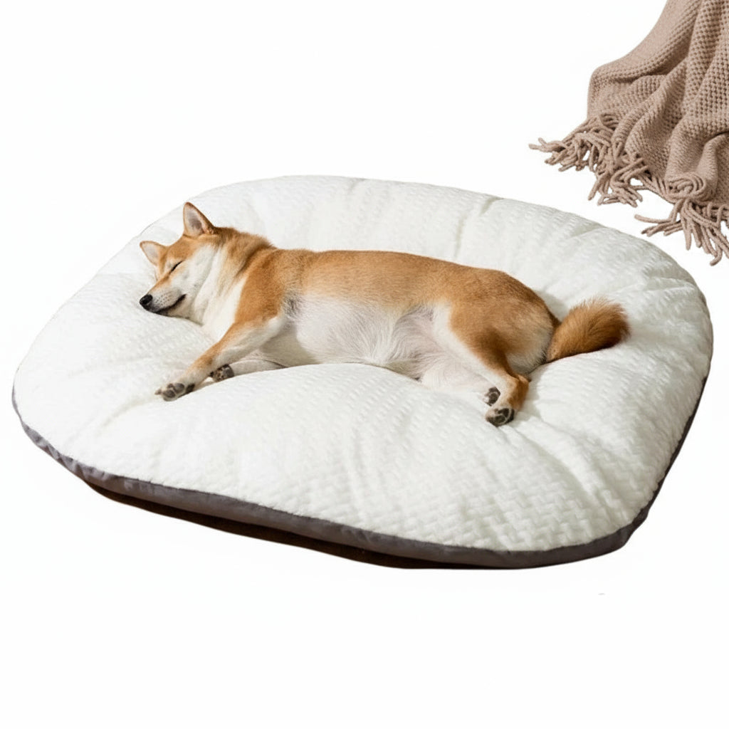 Ovale Hunde-Matratze: Verdicktes, abnehmbares & waschbares Kissen für den Winter - Animalivo