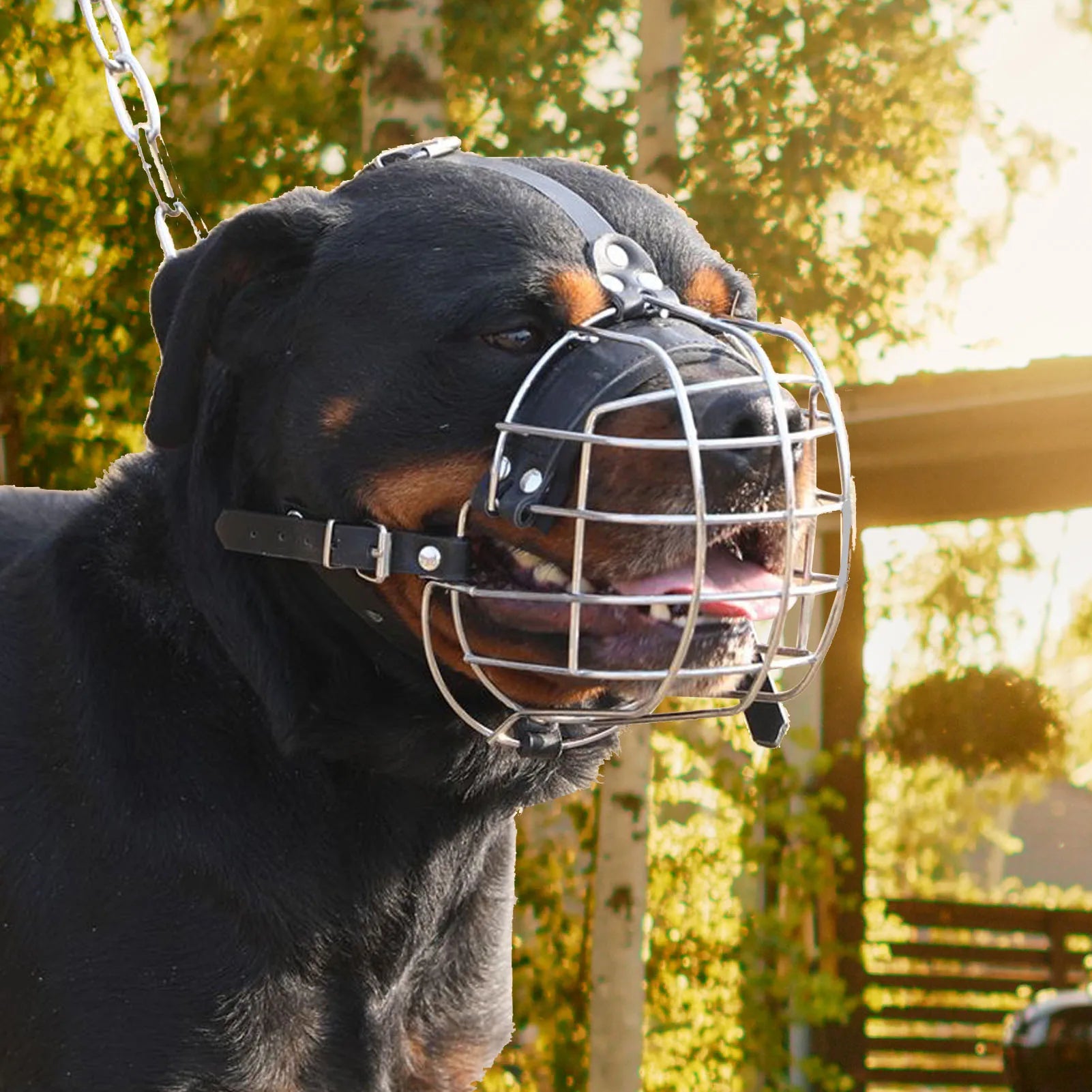 Stabiler Korb-Hundemaulkorb (Atmungsaktiv & Langlebig) - Animalivo