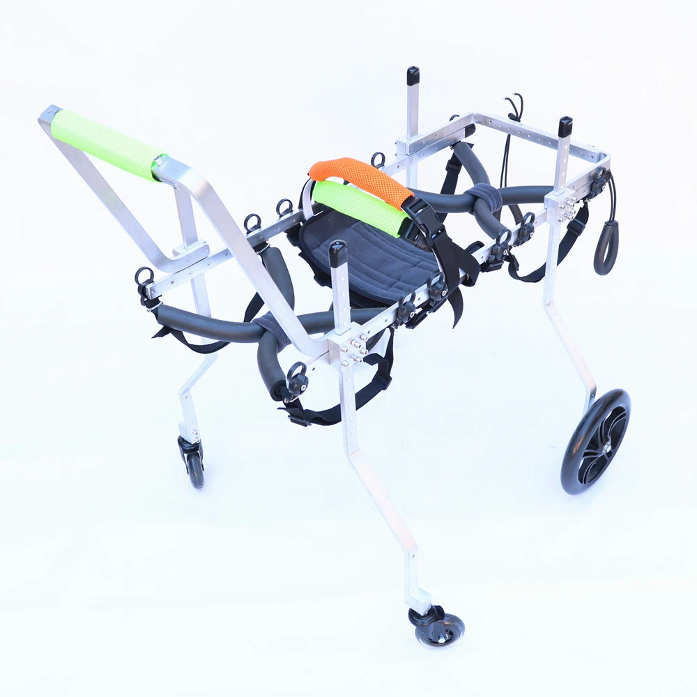 Hunde-Rollstuhl (Hilfshalterung) bei Vorderbein- & Wirbelsäulenschäden