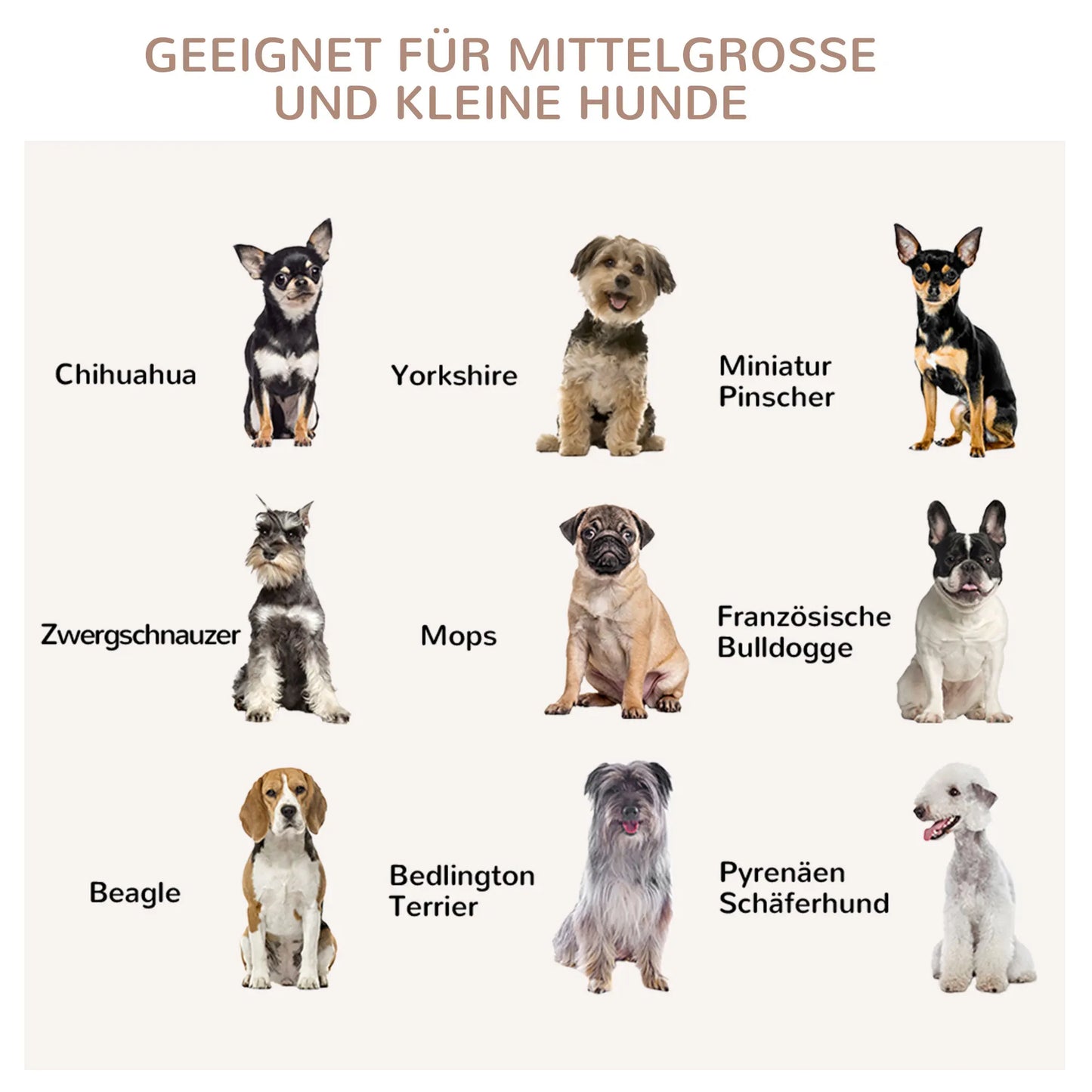 PawHut Hundekäfig, Haustierkäfig, Hundehütte für mittelgroße Hunde, Hundebox Indoor, Tierkäfig mit abschließbarer Tür