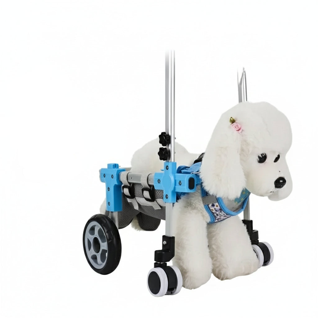 Verstellbarer Hinterbein-Rollstuhl für Hunde & Katzen mit Hüftunterstützung