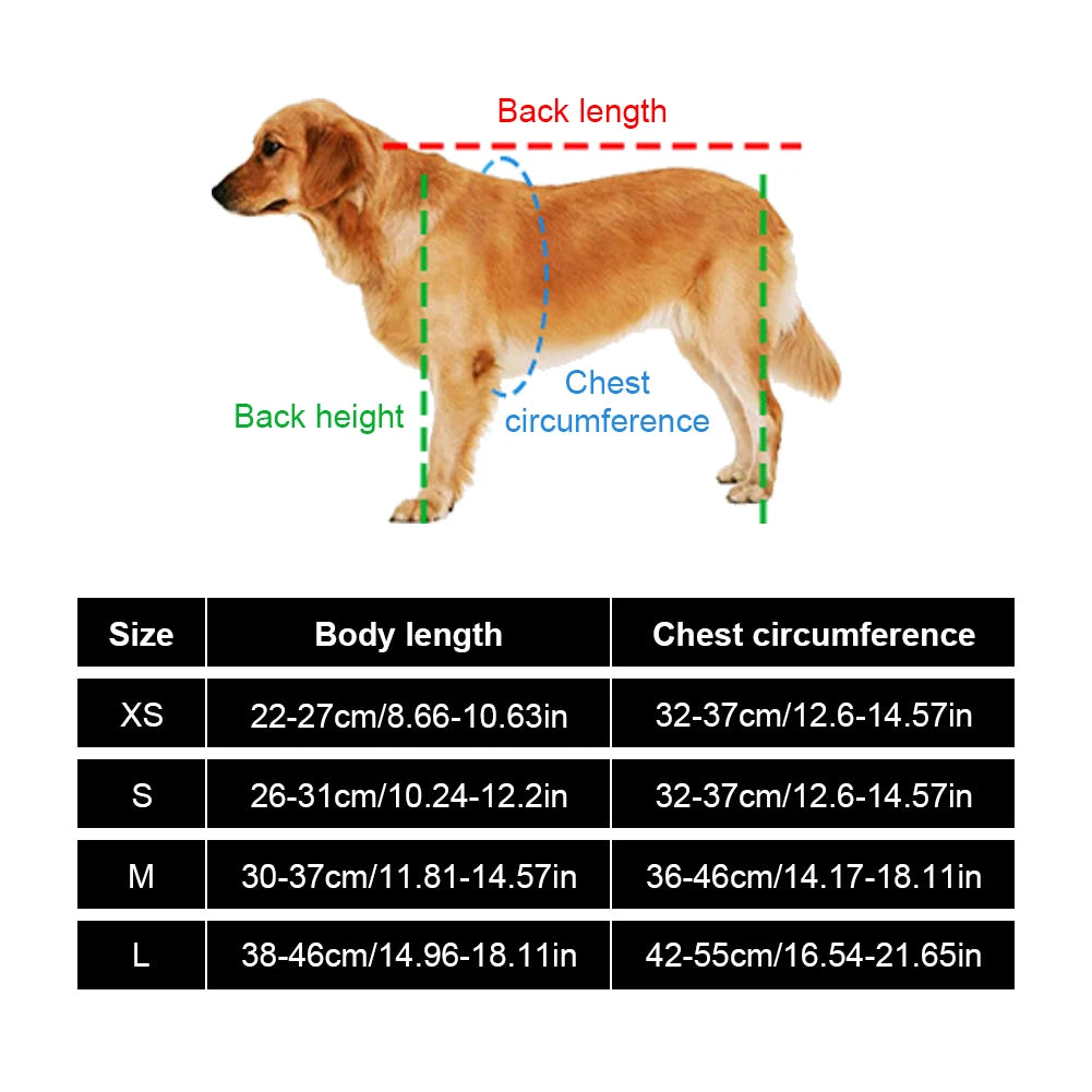 Kleiner Hund Rollstuhl für Hinterbeine (Lähmung & Rehabilitation)