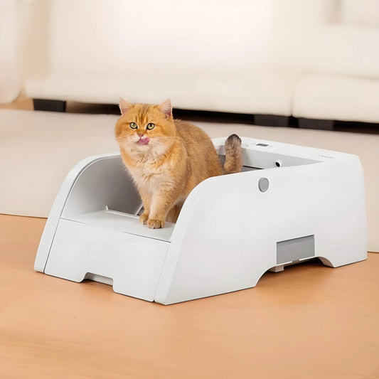 Selbstreinigende XL-Katzentoilette mit App-Steuerung