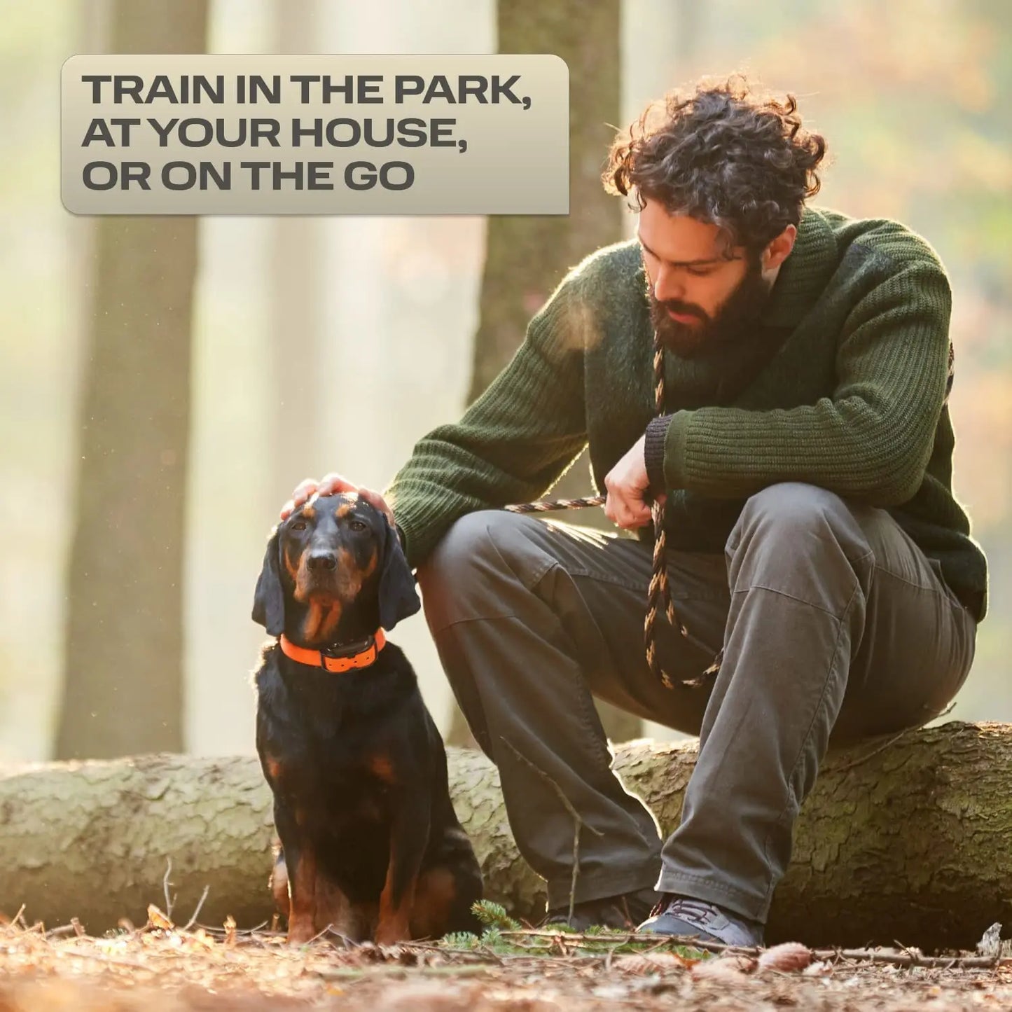 Elektrisches 1000m Hundetraining-Halsband mit Fernbedienung - Animalivo
