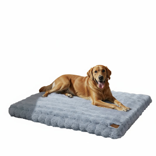 Hundebett & Beruhigendes Katzenbett (Waschbar mit Abnehmbarem Bezug) - Animalivo