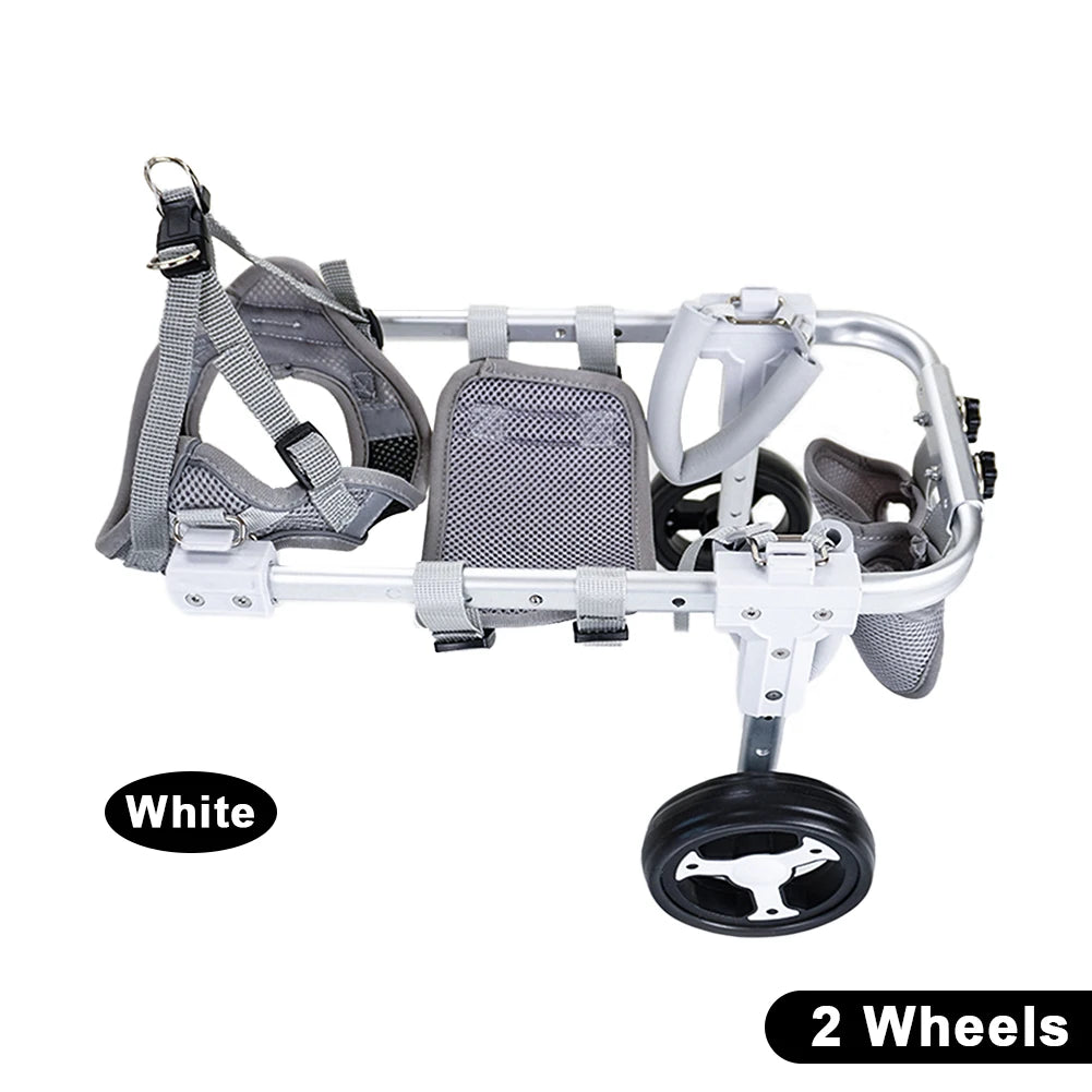 Kleiner Hund Rollstuhl für Hinterbeine (Lähmung & Rehabilitation)