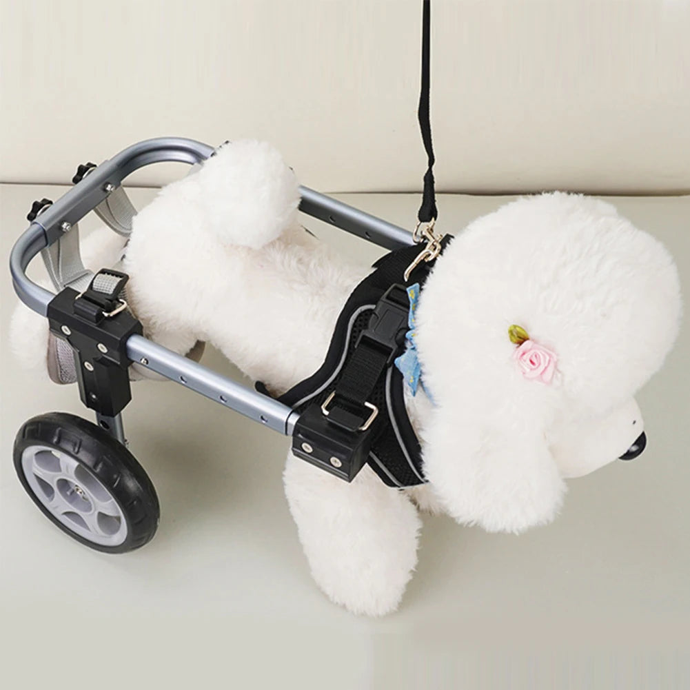 Kleiner Hund Rollstuhl für Hinterbeine (Lähmung & Rehabilitation)