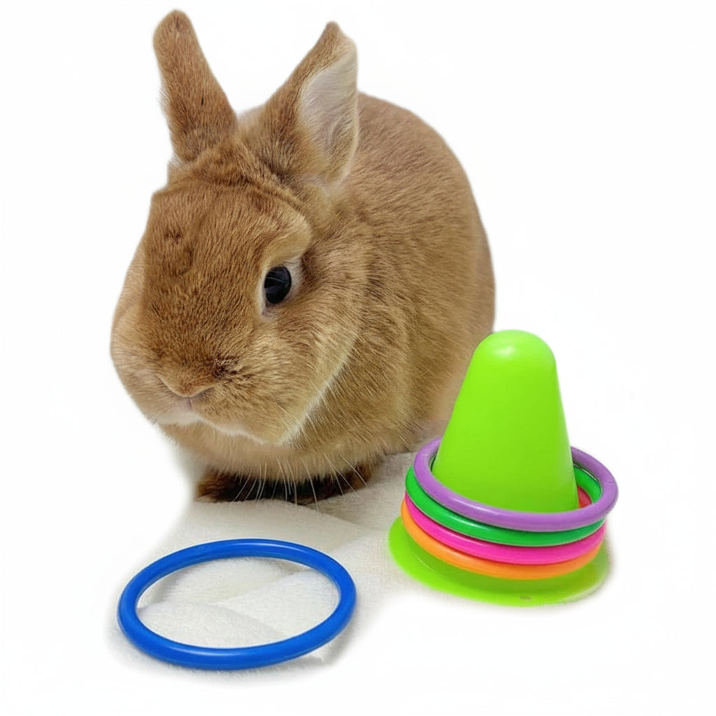 Interaktives Ring-Wurf-Spiel (Eistüten-Form) für Kleintiere - Animalivo