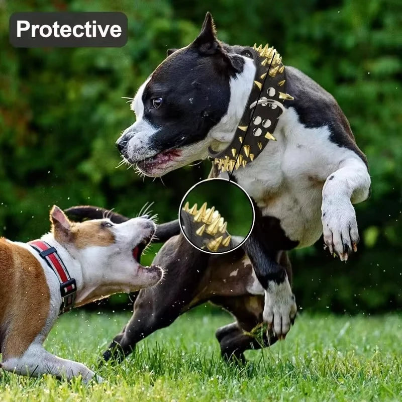 Set aus Hundehalsband und Leine mit Spikes, Hundehalsband aus Leder mit Nieten, verstellbares Hundehalsband für Spaziergänge im Freien - Animalivo