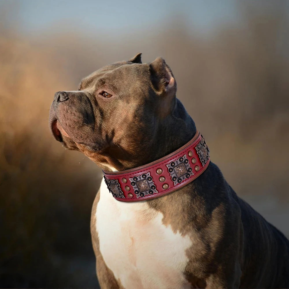 Cooles Hundehalsband aus Echtem Leder mit Spikes (Verstellbar) - Animalivo