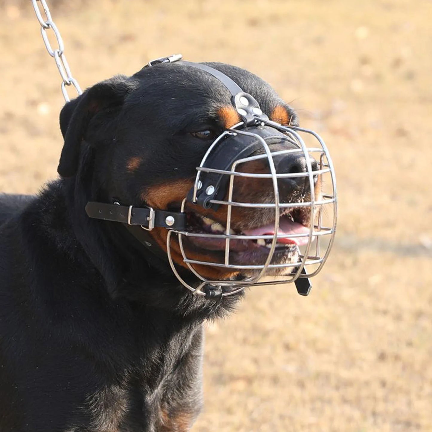 Stabiler Korb-Hundemaulkorb (Atmungsaktiv & Langlebig) - Animalivo