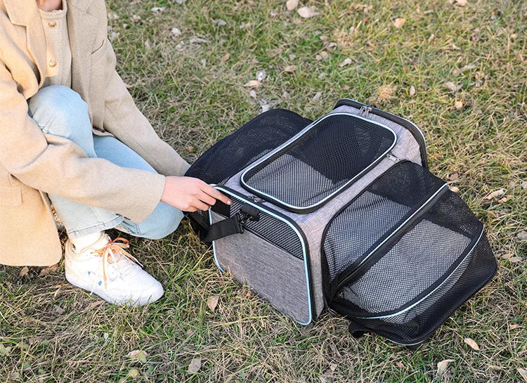 Faltbare Haustier-Tragetasche: Erweiterbar, atmungsaktiv & ideal für kleine Hunde und Katzen - Animalivo