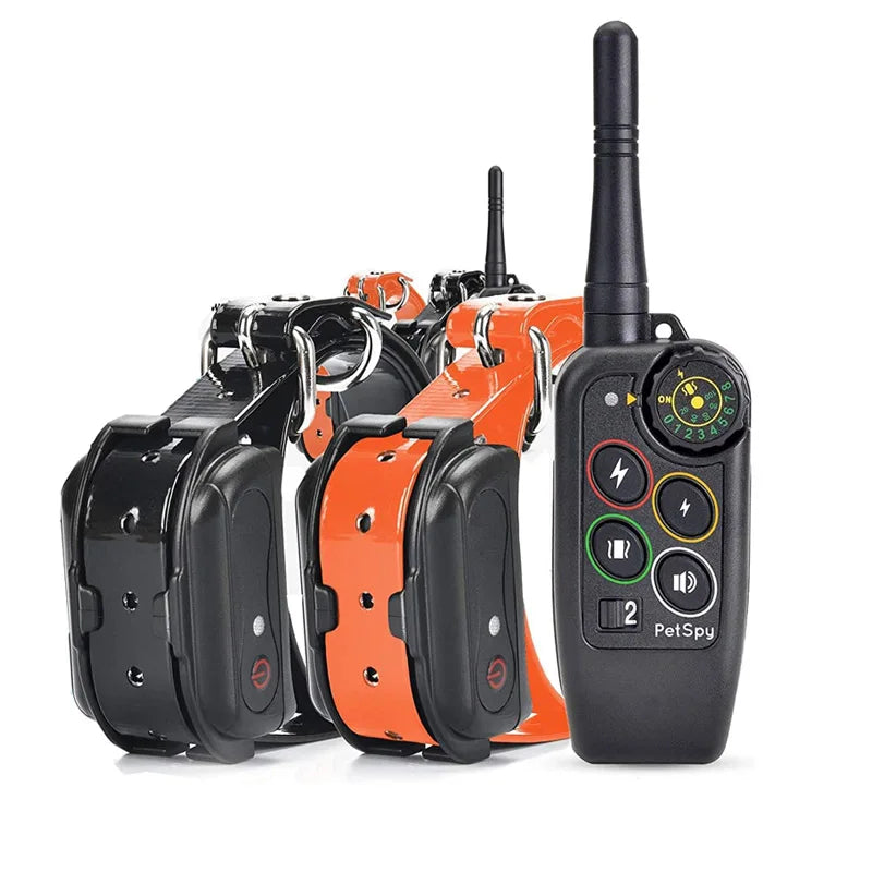 Elektrisches 1000m Hundetraining-Halsband mit Fernbedienung - Animalivo