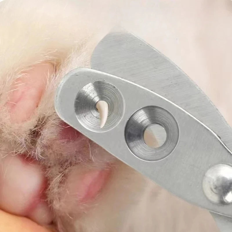Katzen-Nagelknipser: Professioneller Krallenschneider aus Edelstahl für kleine Hunde & Katzen - Animalivo