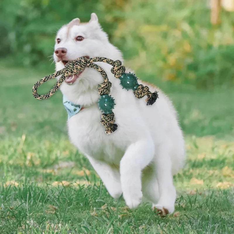 Interaktives Hundespielzeug: Langlebiges Kauspielzeug & Seilspielzeug zur Zahnreinigung - Animalivo