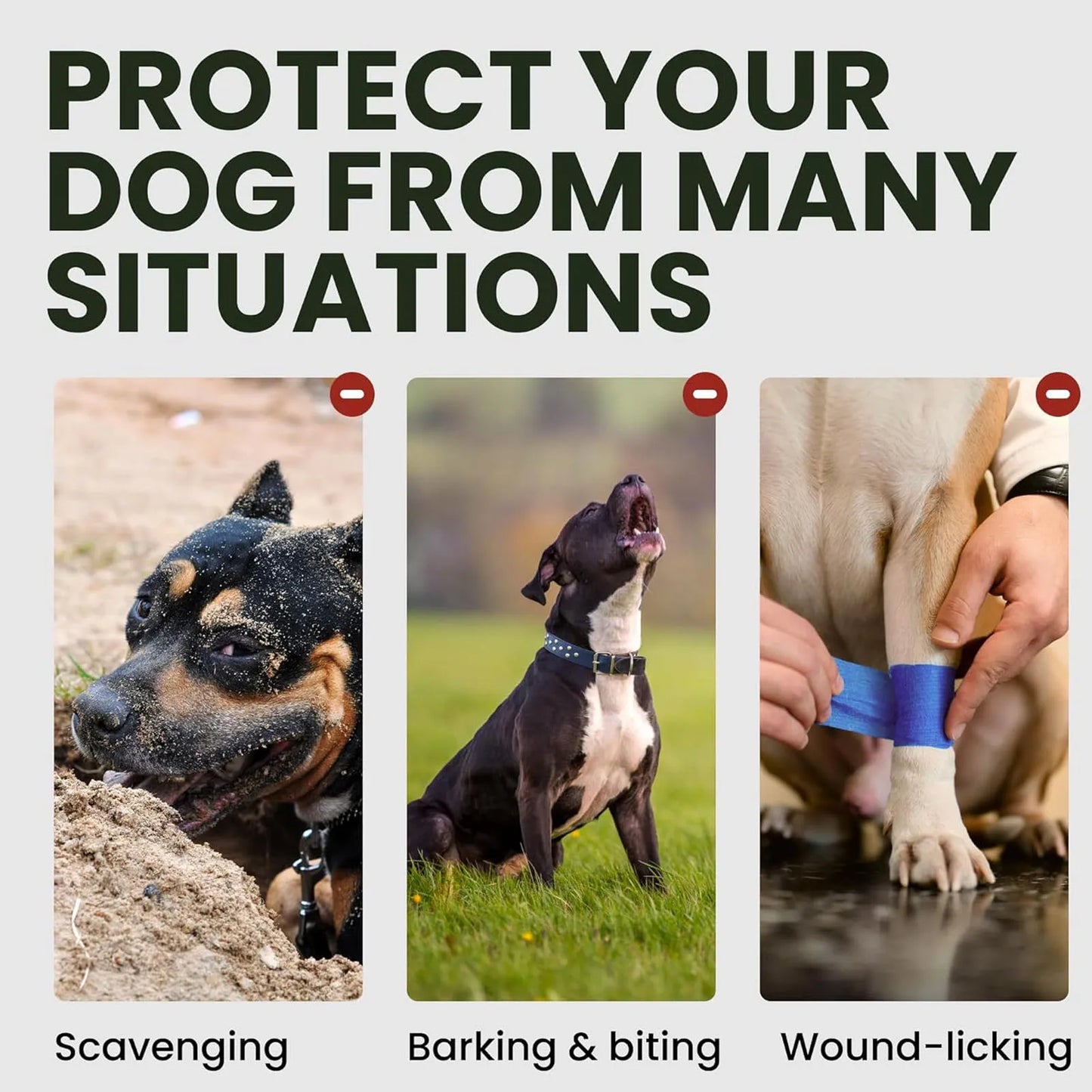 Stabiler Korb-Hundemaulkorb (Atmungsaktiv & Langlebig) - Animalivo