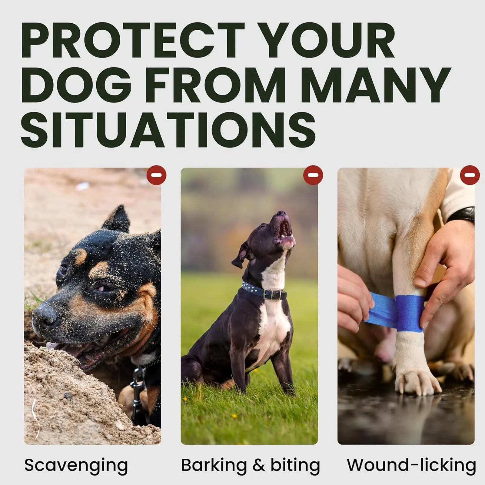 Stabiler Korb-Hundemaulkorb (Atmungsaktiv & Langlebig) - Animalivo