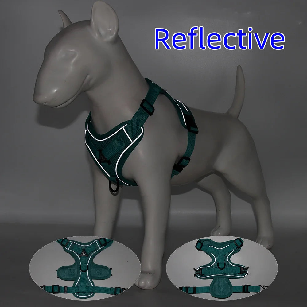 Hundegeschirr & Leine Set für kleine Hunde - Animalivo