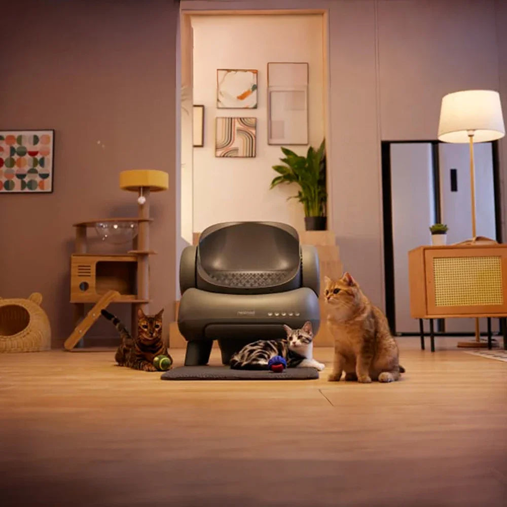 Neakasa M1 Neabot Offene selbstreinigende automatische Katzentoilette, geruchsfrei, selbstverteidiger Katzensandkasten, intelligente Haustiertoilette für Katzen