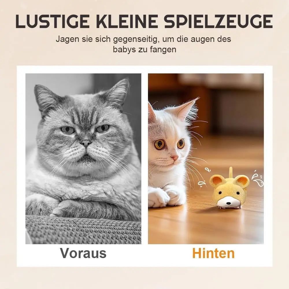 Interaktives Katzenspielzeug – Selbstbewegende Maus - Animalivo