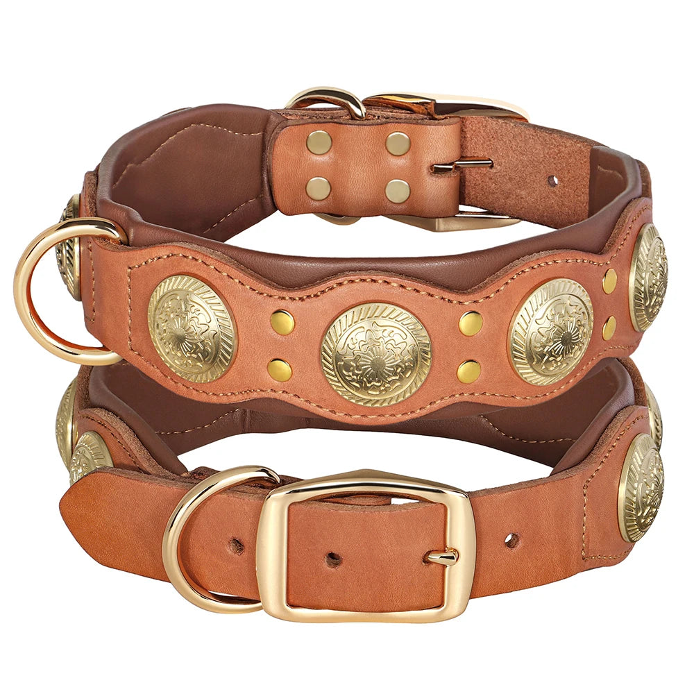 Hundehalsband aus Echtem Leder mit Spikes (Verstellbar) - Animalivo