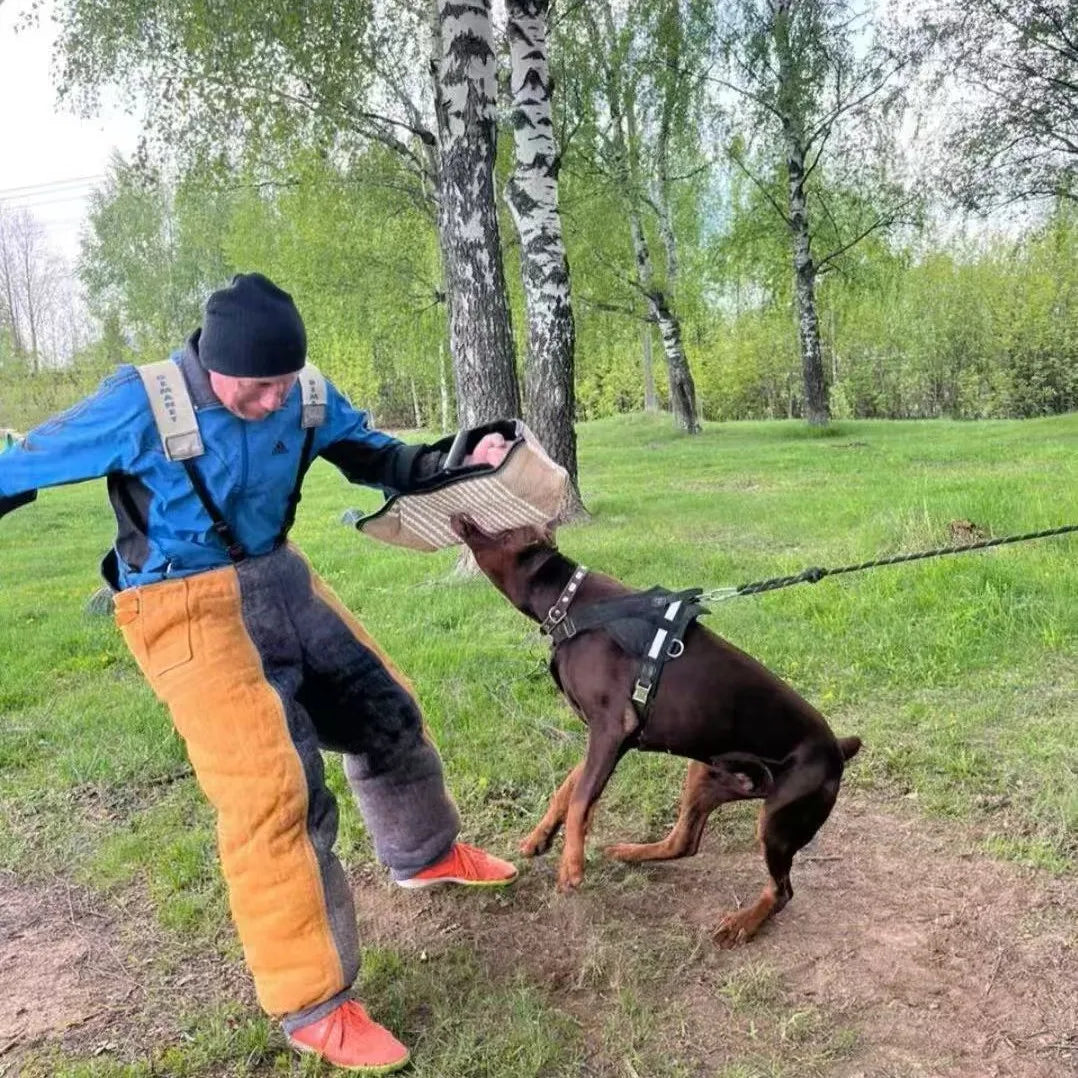 Multifunktionale Hundebisshülle aus Baumwoll-Canvas-Schutz für große Hunde, langlebige Bisskissenausrüstung, Training für Welpen im Freien - Animalivo
