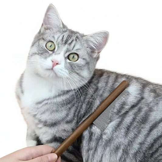 Edelstahl Katzen- & Hundekamm mit Holzgriff - Animalivo