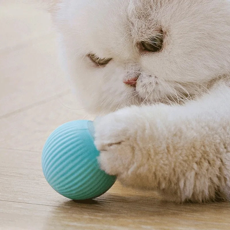 Smarter Interaktiver Katzenball (Automatisch Rollend) - Animalivo