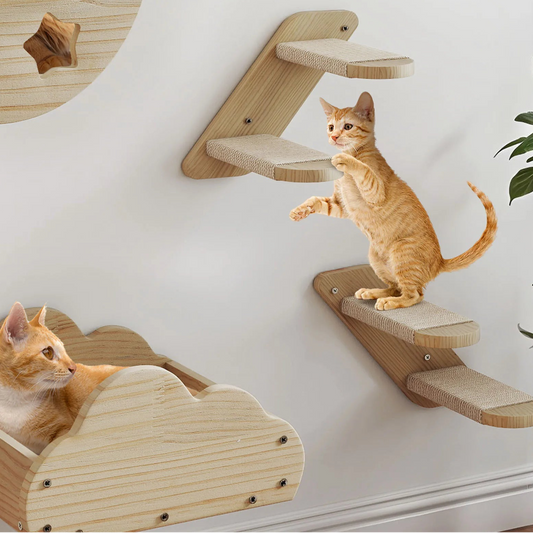 6-teilige Katzenkletterwand aus Massivholz