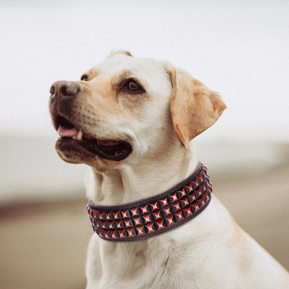 2-Zoll Breites Leder-Hundehalsband mit Spikes (Langlebig) - Animalivo