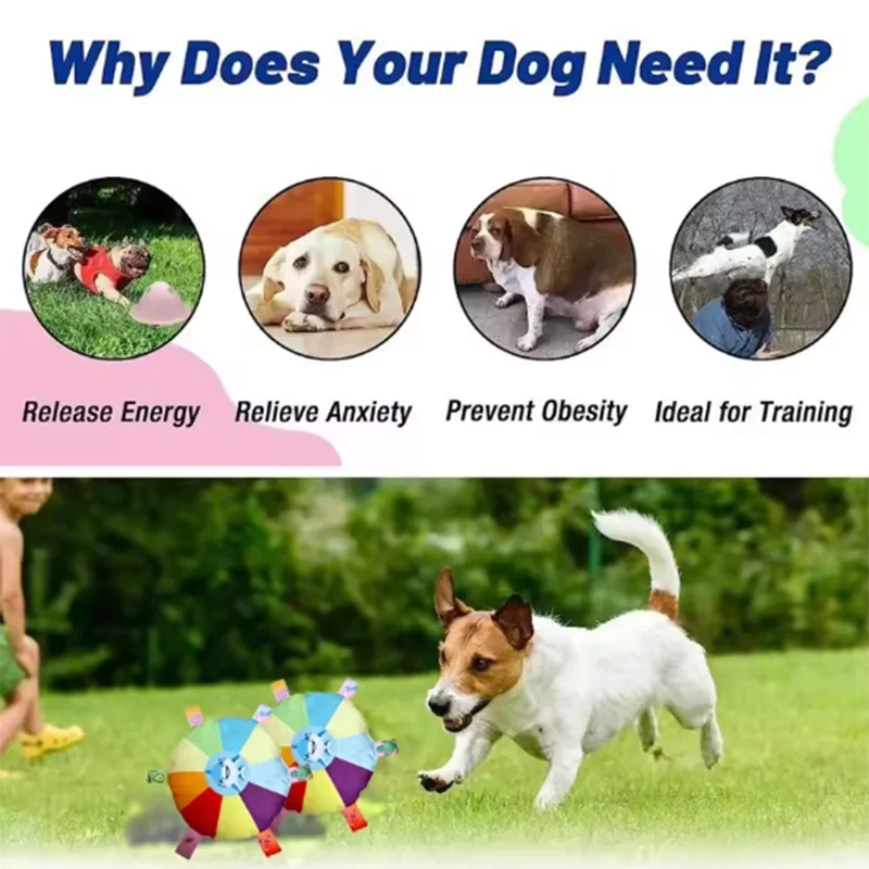 Quietschendes Hot Dog Plüsch-Hundespielzeug - Animalivo