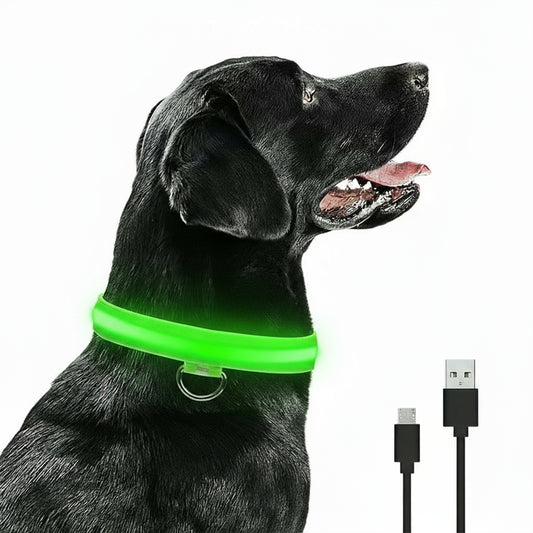 LED Hunde-Halsband: USB-aufladbar, 3 Modi & Abnehmbar zur Verlustprävention - Animalivo