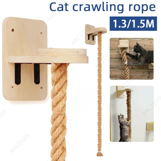 Katzen-Kletterwand mit Sisalseil-Leiter