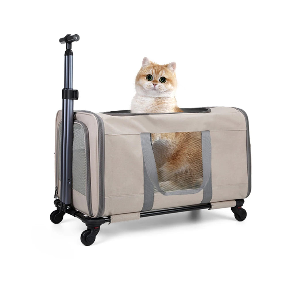 Katzen-Trolley (Wagen) für 2 Katzen – Groß & Sicher - Animalivo