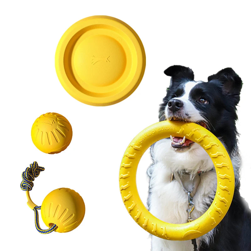 Langlebiges Hundespielzeug (4er-Pack): Set mit Frisbee, Ball & Zerrseil zur Zahnreinigung - Animalivo
