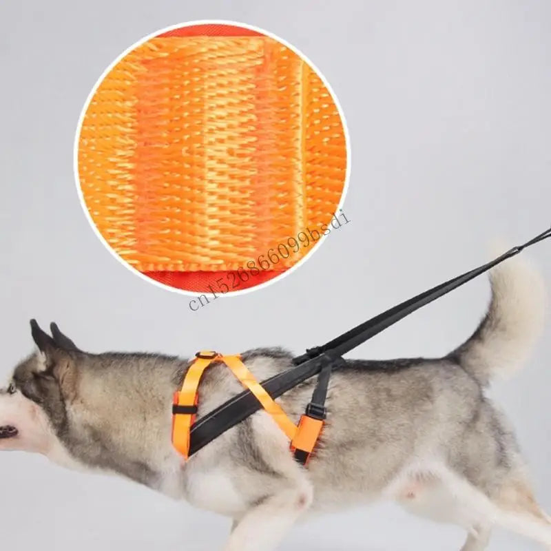 11UA Hundeschlittenkabelbaum Gewicht ziehen Schlittengurt Canicross Scooter - Animalivo