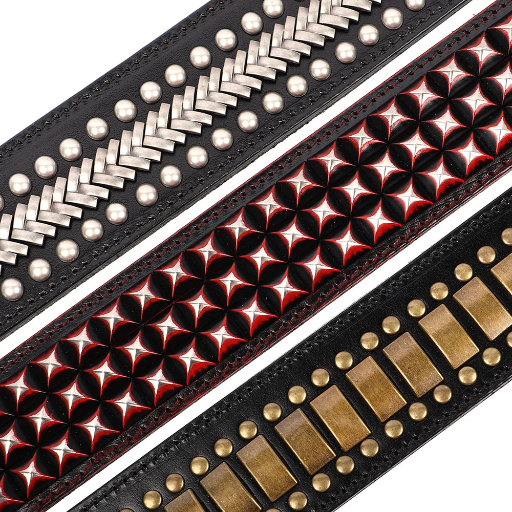 2-Zoll Breites Leder-Hundehalsband mit Spikes (Langlebig) - Animalivo